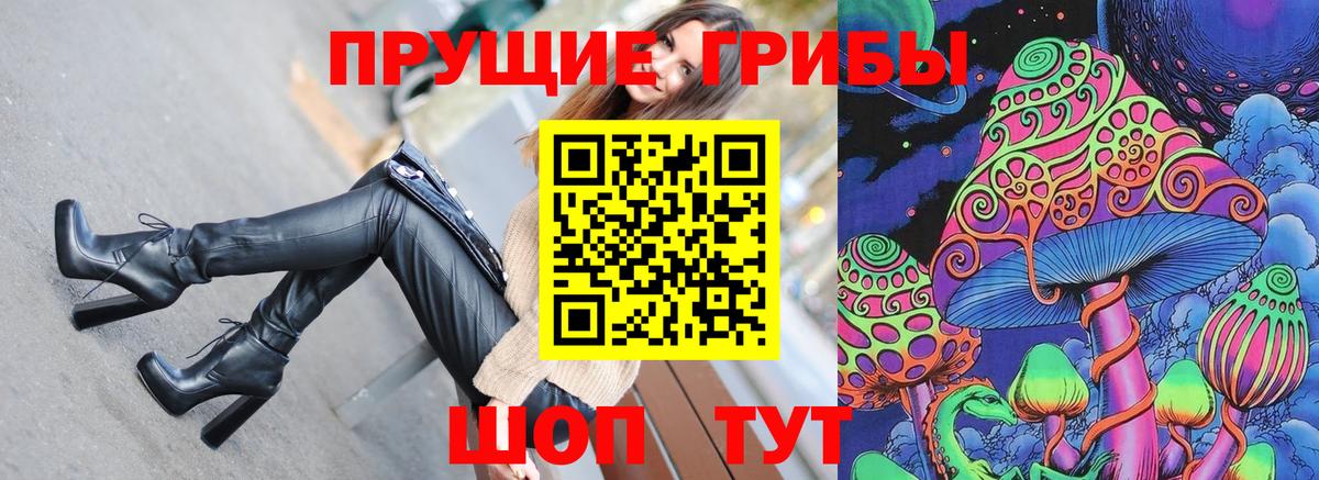 Зеленогорск  как найти   Псилоцибиновые грибы Psilocybe  Вход с VPN  Галлюциногенные грибы Psilocybe 