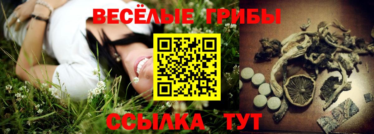 Псилоцибиновые грибы прущие грибы Зеленогорск