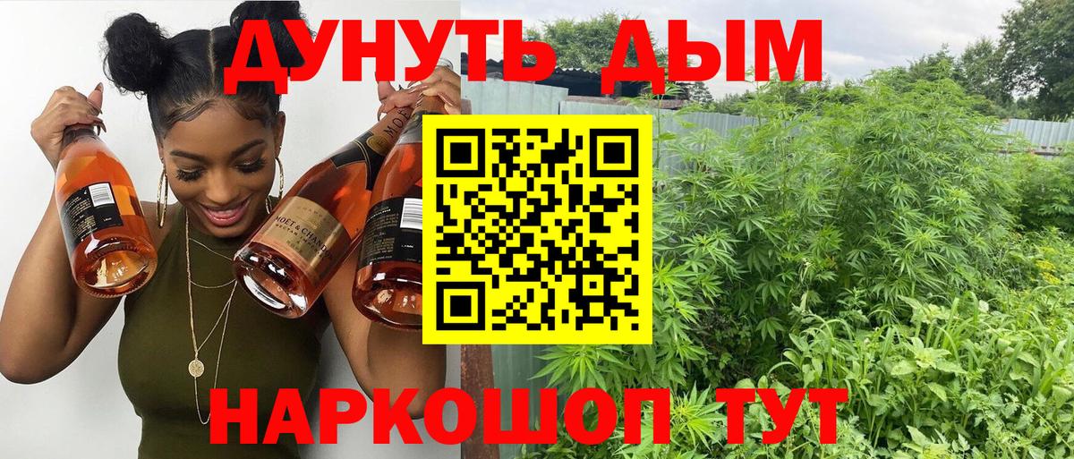 Шишки марихуана AK-47  Марихуана сатива  Конопля марихуана  Зеленогорск  Вход с VPN  Бошки Шишки MAZAR 